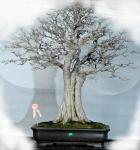 524390_421970651162817_1927802502_n