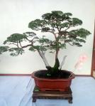 529777_421973361162546_100000496577790_1715168_1228443523_n