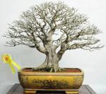 534618_421972731162609_100000496577790_1715159_327927965_n