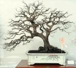 545078_421971461162736_1236121958_n