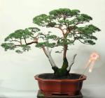 548758_421973871162495_100000496577790_1715174_1232866930_n