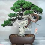 548893_421973587829190_100000496577790_1715171_186855731_n