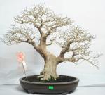 551420_421974694495746_100000496577790_1715184_1390745917_n