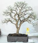 557753_421971587829390_100000496577790_1715144_1267406702_n