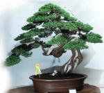 557850_421970211162861_100000496577790_1715122_1508484318_n