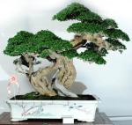 558633_421972211162661_100000496577790_1715153_1897068373_n