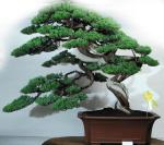 564863_421973951162487_100000496577790_1715175_1709853901_n