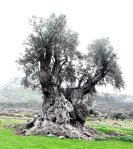 25279_388122887524_82869747524_4438845_7970095_n