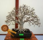 35809_1410679201511_1668440551_960456_5276698_n