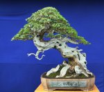 427654_251770421583399_100002513290697_526640_412148632_n