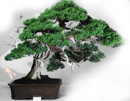 525650_421974501162432_659682939_n