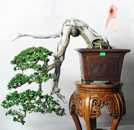 532423_421970311162851_1630056307_n