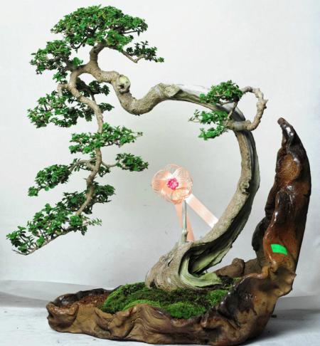 560607_421973681162514_117684032_n