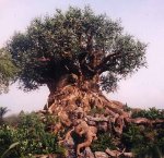 148503_126294520760933_100001411566792_160053_2491007_n