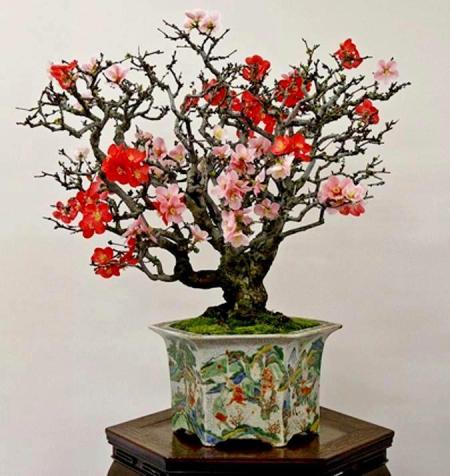 150235_538992116111468_660201950_n