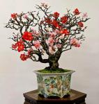 150235_538992116111468_660201950_n