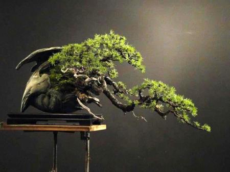 182302_431328780211136_133142576696426_1695832_999930958_n-1