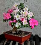 190610_537233159620697_654701046_n