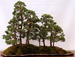 2004060073