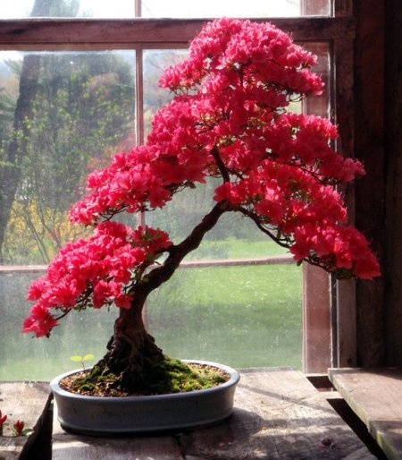 227702_10150175817097525_6643190_n