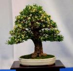 252777_465429020134445_307274752_n