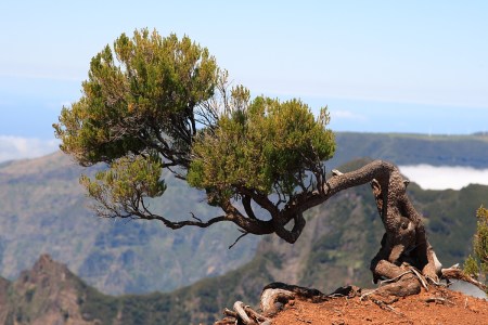 2702357790_cd5dba5404_o