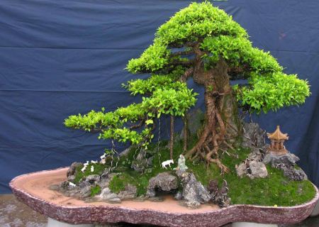 292366_476100265733987_855595849_n