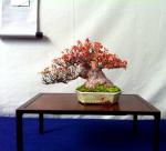 302716_516644885012858_1554599920_n