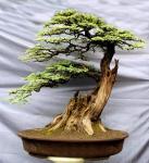 319701_438254379518576_1735761818_n