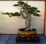 376680_405344829528676_1996687466_n