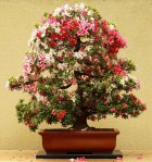 383520_430061127004568_133142576696426_1692725_199646282_n