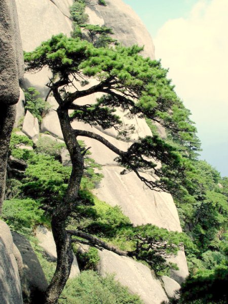 38669_416881312524_82869747524_5196477_2907422_n