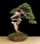 389213_423904640953550_133142576696426_1675238_292587159_n