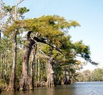 40617_419208747524_82869747524_5260693_687329_n