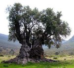 41059_422764727524_82869747524_5356857_7476632_n