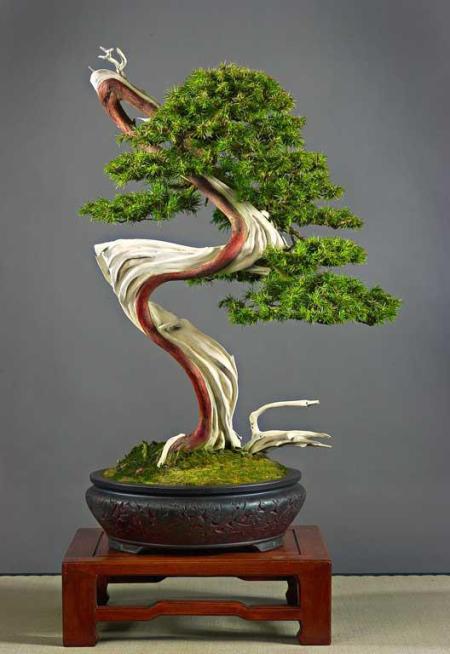 416984_212180515545422_1775710043_n