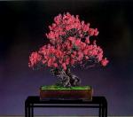 487341_467524053258275_277409878_n