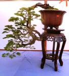 523159_405406806189145_1850875638_n