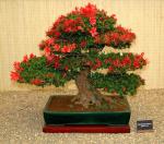 523712_423888274288520_133142576696426_1675088_2095606536_n