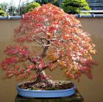 537600_449435145067166_1578729141_n