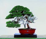 539261_484896981520982_1302650608_n