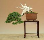 550850_394456743898340_133142576696426_1595795_120210801_n