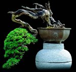 560293_180535075408281_1709809512_n