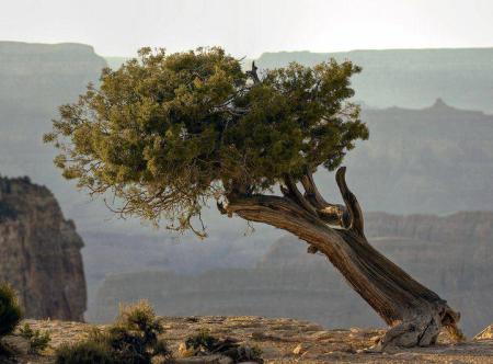 575303_391349610923327_651183024_n