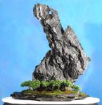 582020_390723224295610_1647985966_n