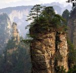 67252_444081892524_82869747524_5808197_3786231_n