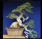 Captura de Tela 2012-04-03 às 22.30.01