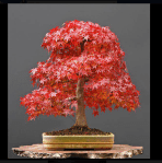 Captura de Tela 2012-04-03 às&nbsp;22.33.50