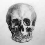 pencil-drawing-of-a-skull