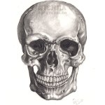 photo_5ee3423e3dd663136f34b5d0499db8c5